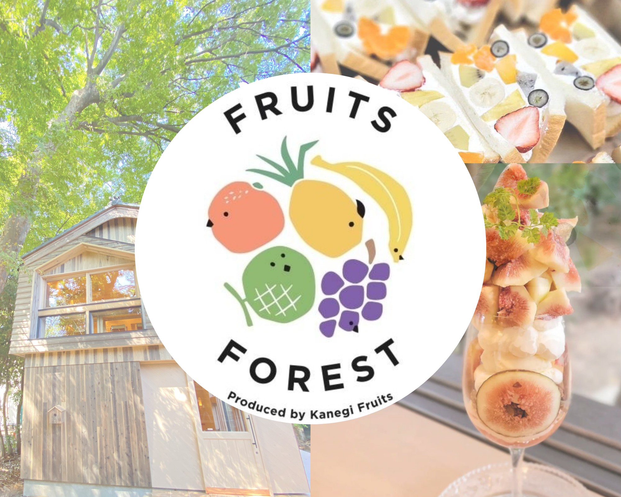 【FRUITS FOREST byKanegiFruits】いよいよプレオープン！秋葉区『マチーシャの杜』まぐろ食堂、蔵に続いて賑わう新津駅前！！